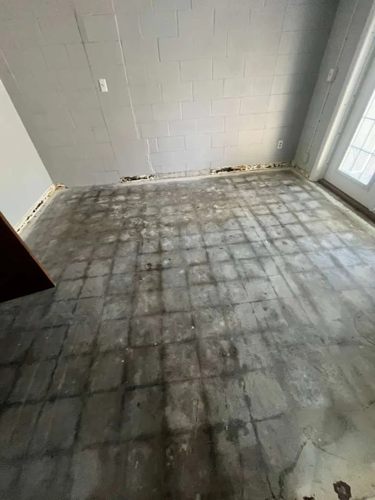 Bedroom before lvp flooring installation in East Lake Morton, Lakeland, FL
