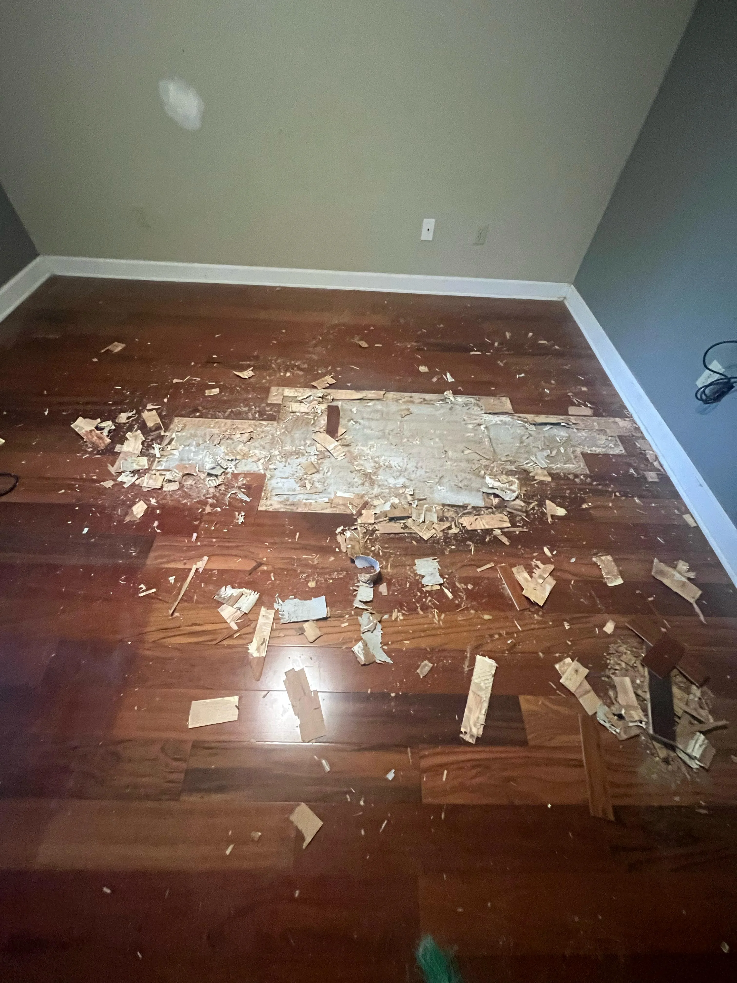 Living room with damaged hardwood before repair in Brant Shores, Lutz, FL